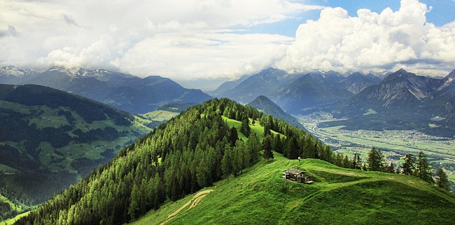 Vignetten und ihre Bedeutung in Österreich