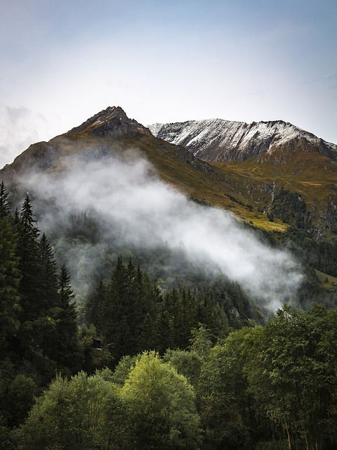 Die Kunst der Vignette in Österreich