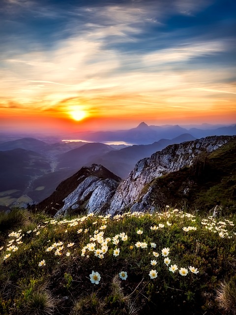 Vignetten für jeden Anlass: Tipps aus Österreich